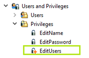 VirtualPrivilege